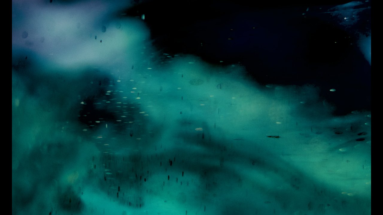 Commercial Reel
